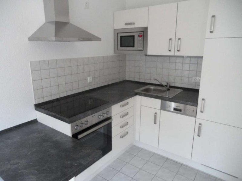 Zwickau Ab 01.03.26!!! Zentrumsnahe 1,5-Raum-Whg mit Terrasse, Einbauküche, neben Schlobigpark Wohnung mieten