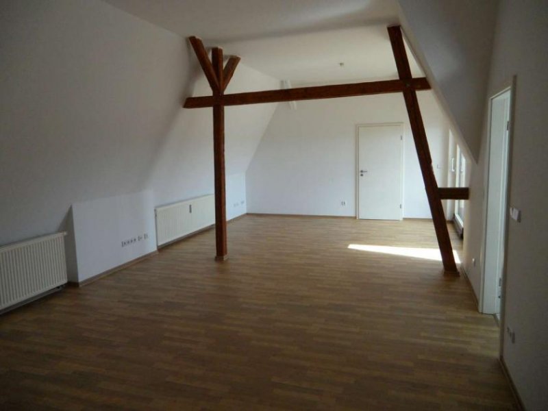 Zwickau Ab 1.11.! Tolle, zentrumsnahe 4-Raumwhg. mit Dachterrasse! Wohnung mieten