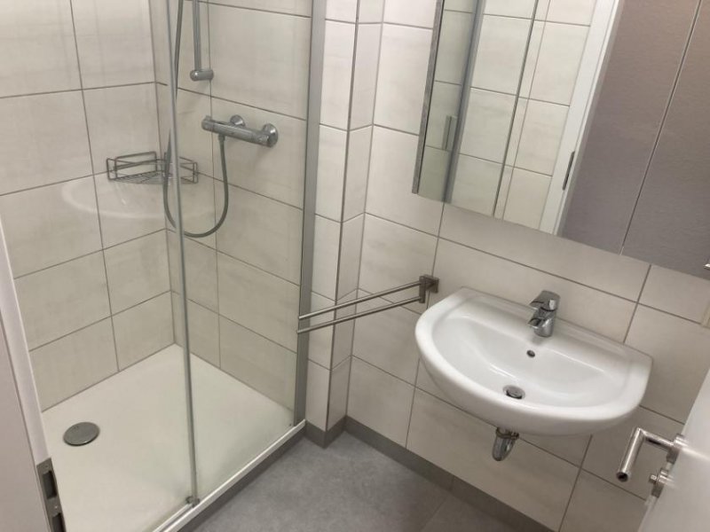 Zwickau Ab 1.12.! Moderne 1-Raumwohnung mit Balkon u. EBK im Herzen von Zwickau Wohnung mieten