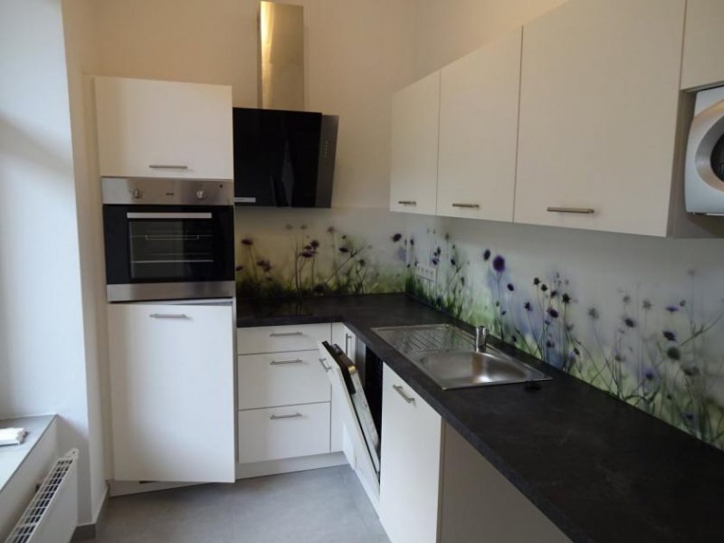 Zwickau Ab 1.12.! Moderne 1-Raumwohnung mit Balkon u. EBK im Herzen von Zwickau Wohnung mieten