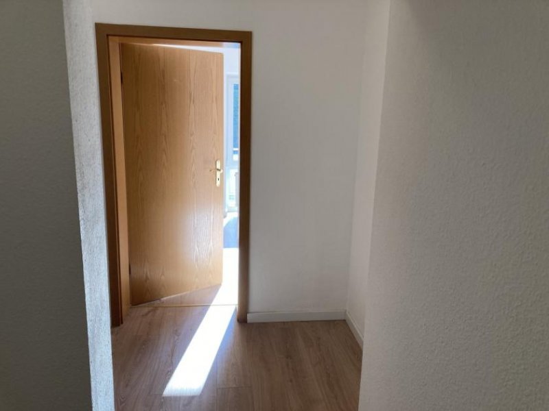 Zwickau Ab 1.8.26! Gemütliche 2-Raumwohnung mit Balkon, EBK; Nähe Schlobigpark! Wohnung mieten