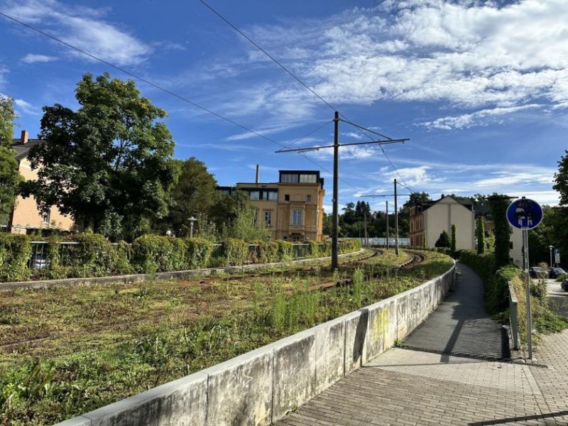 Zwickau Großzügige 1-Raumwohnung mit Einbauküche in Zwickau! Denkmalschutz! Wohnung mieten