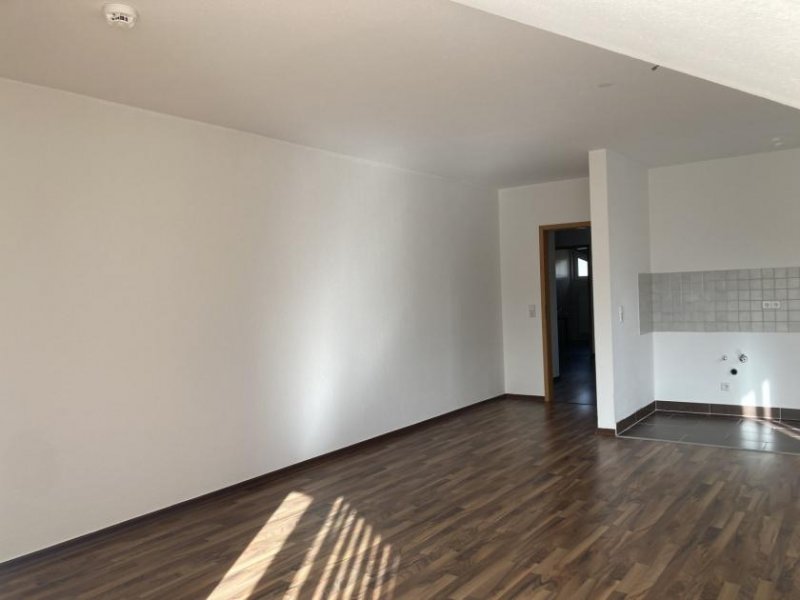 Zwickau Zentrumsnahe 3-Raumwohnung mit goßer Dachterrasse und Stellplatz! Wohnung mieten