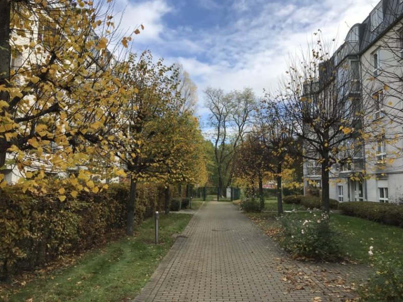 Zwickau Ab 01.08.26! 1-Raum WE mit Balkon, Einbauküche und Tiefgaragenstellplatz in ruhiger Seitenstraße Wohnung mieten