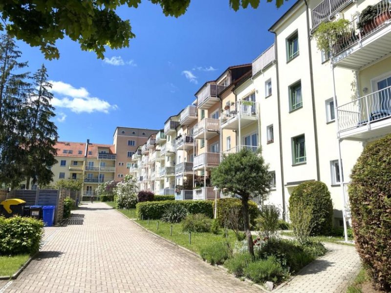 Zwickau Ab 01.12.25! Helle 2-Raumwhg. mit Balkon und tollem Blick ins Erzgebirge in Marienthal! Wohnung mieten