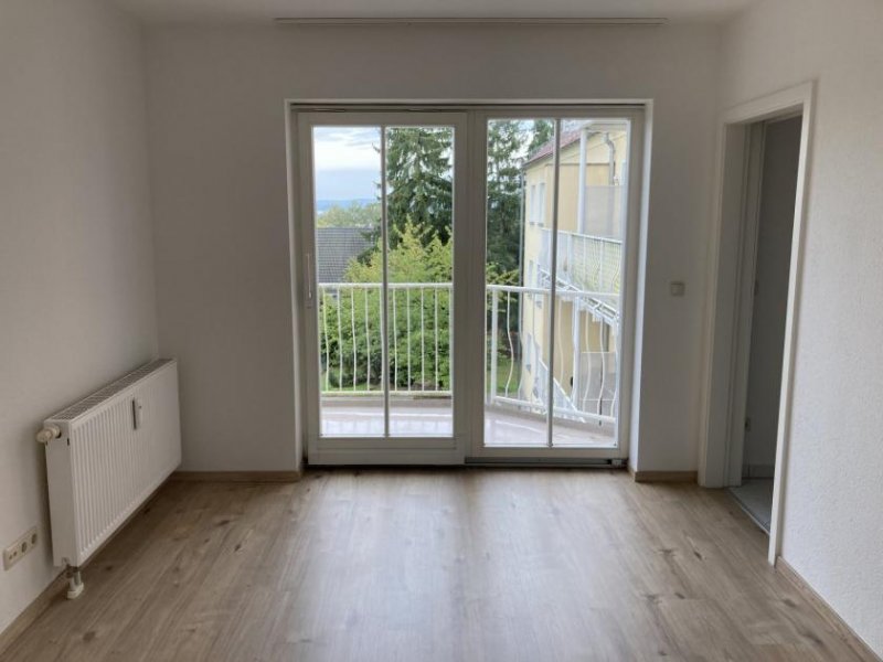 Zwickau Ab 1.10.! Helle 1-Raumwohnung mit Singleküche und Balkon in Marienthal! Wohnung mieten