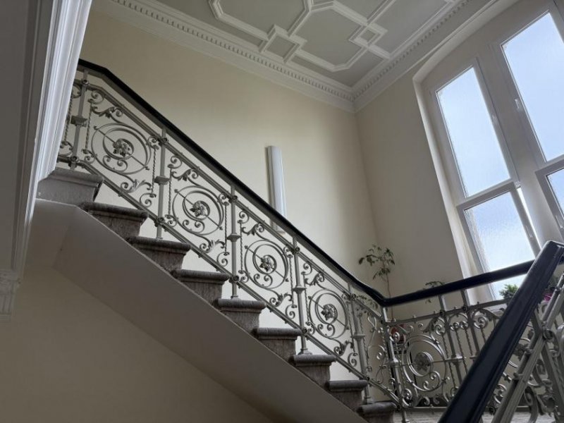 Zwickau Repräsentatives Wohnen oder Arbeiten auf 200 m² in Fabrikantenvilla - Sanierung nach Wunsch! Wohnung mieten