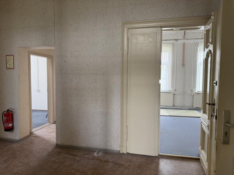 Zwickau Repräsentatives Wohnen oder Arbeiten auf 200 m² in Fabrikantenvilla - Sanierung nach Wunsch! Wohnung mieten