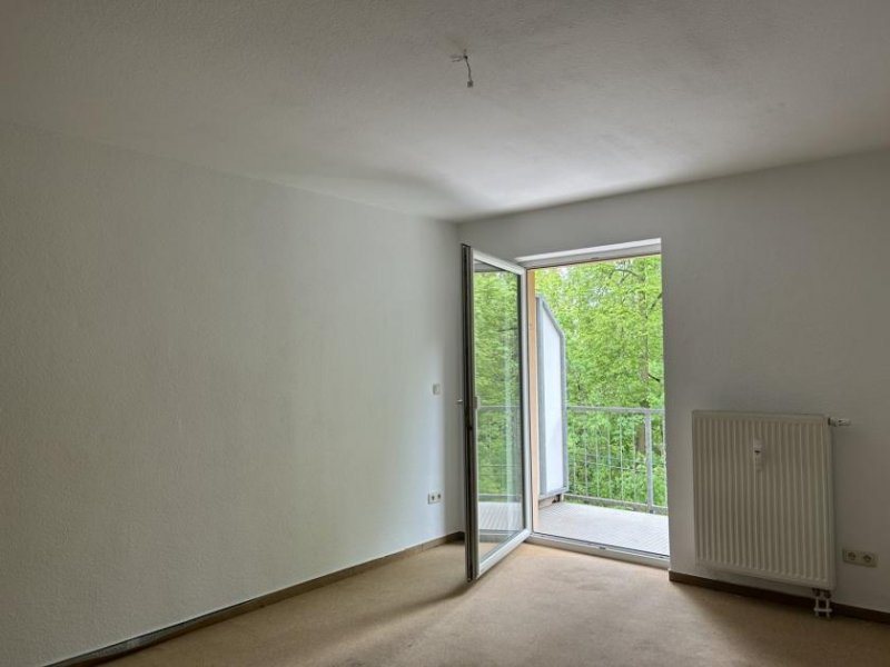 Zwickau Ab 1.7.! Helle 3-Raumwohnung mit zwei Balkonen und Stellpl. in Zwickau Wohnung mieten