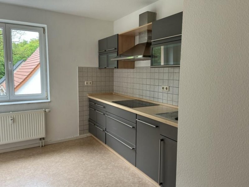 Zwickau Ab 1.7.! Helle 3-Raumwohnung mit zwei Balkonen und Stellpl. in Zwickau Wohnung mieten