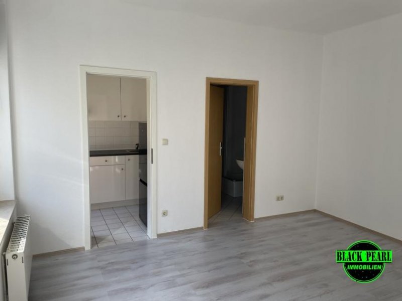 Plauen Wunderschöne renovierte Wohnung inkl. Einbauküche und teilmöbliert Wohnung mieten