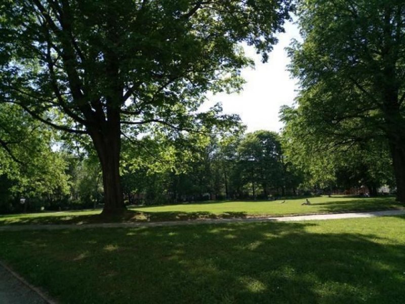 Chemnitz Großzügige DG 1-Zimmer mit Laminat und Wanne in sehr guter Lage Wohnung mieten