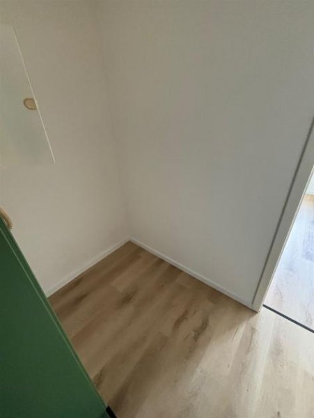 Chemnitz NEU-Sanierte 1-Zimmer mit Wannenbad, Vinylboden und EBK mgl. auf dem Kaßberg! Wohnung mieten