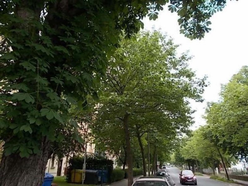 Chemnitz Gemütliche und vollmöblierte DG 3-Zi. mit Laminat, EBK und Wannenbad in Chemnitzer Toplage! Wohnung mieten