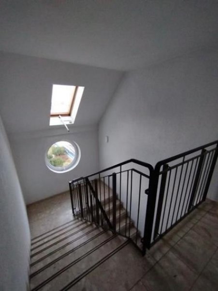 Chemnitz Großzügige 1-Zimmer mit EBK, Laminat, Aufzug und TG-Stellplatz in sehr guter Lage Wohnung mieten