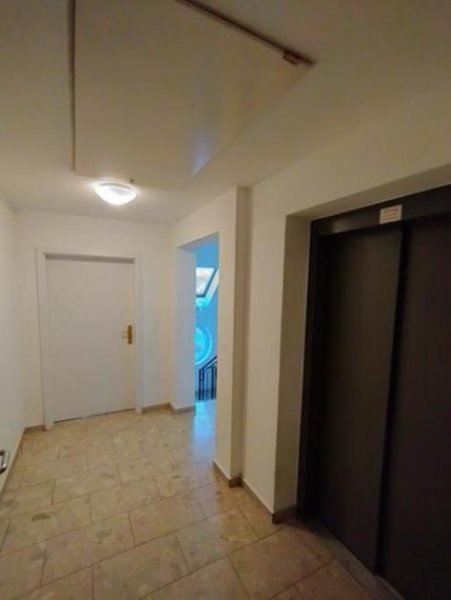 Chemnitz Großzügige 1-Zimmer mit EBK, Laminat, Aufzug und TG-Stellplatz in sehr guter Lage Wohnung mieten