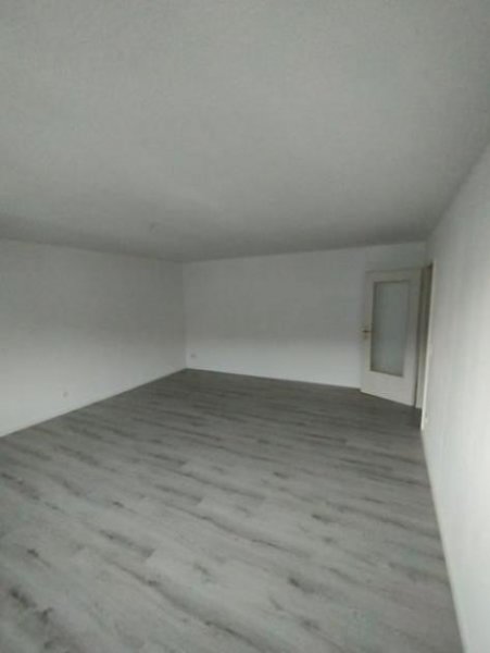 Chemnitz Großzügige 1-Zimmer mit EBK, Laminat, Aufzug und TG-Stellplatz in sehr guter Lage Wohnung mieten