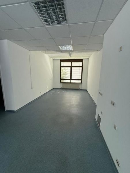 Chemnitz Großzügiger Laden mit Backoffice, Terrasse und Küche in frequentierter Lage Gewerbe mieten