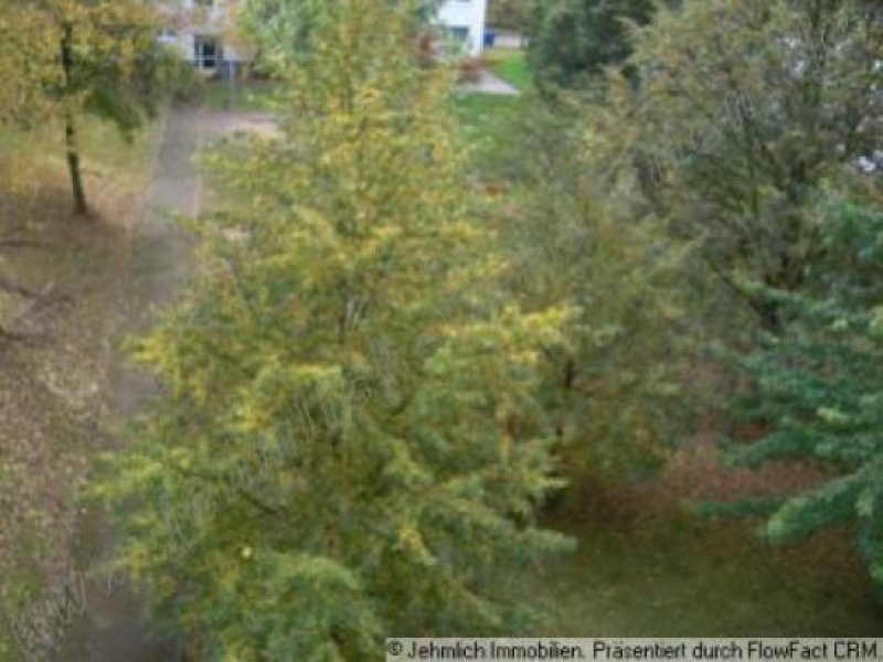 Chemnitz Kleine 4 Raum Wohnung... + 2 MONATE MIETFREI... Wohnung mieten