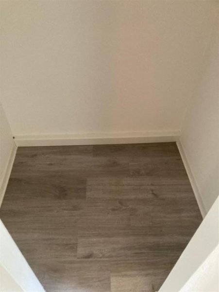 Chemnitz Große 1-Zi. mit neuer EBK, Laminat, Wanne, Abstellraum & Balkon in ruhiger Lage! Wohnung mieten