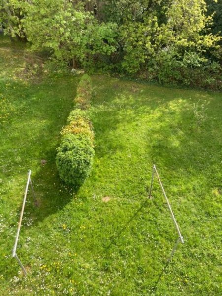 Chemnitz WG-taugliche 3-Zimmer mit Einbauküche, Laminat, Balkon und Wanne in ruhiger Lage! Wohnung mieten