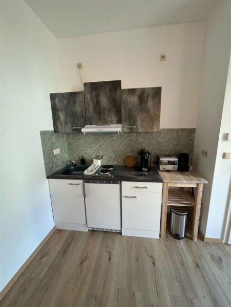 Chemnitz Zweitbezug nach San.! Kompaktloft 1-Zi. im Hinterhaus mit Du. und Lam. in zentraler Lage! EBK mgl. Wohnung mieten