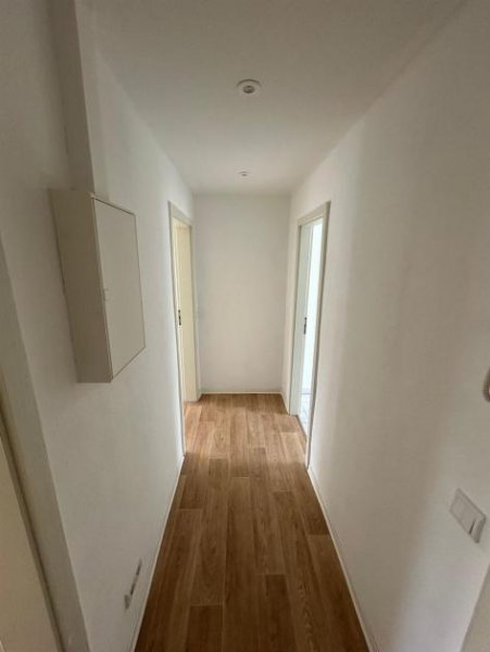 Chemnitz Gemütliche 2-Zimmer mit Balkon und Wannenbad in ruhiger Lage Wohnung mieten