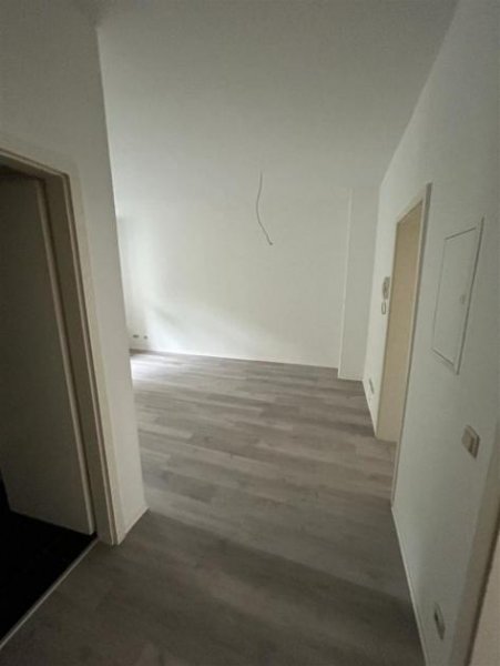 Chemnitz Günstige 3-Zimmer mit Einbauküche, Terrasse, Dusche und Laminat in zentraler Lage! SP mgl. Wohnung mieten