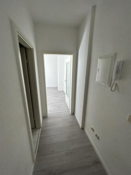 Chemnitz Helle 2-Zimmer mit EBK, neuem Laminat und Dusche in zentraler Lage! Wohnung mieten