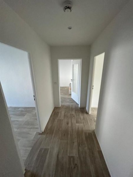 Chemnitz Helle 4-Zi. mit großem Balkon & Laminat in ruhiger Lage! Wohnung mieten