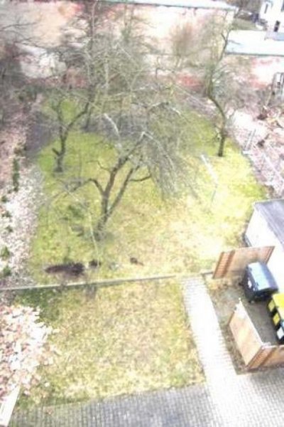 Chemnitz Neurenoviert! * Großzügige 2-Zimmer mit Laminat, Balkon und Wanne in ruhiger Lage! * Wohnung mieten