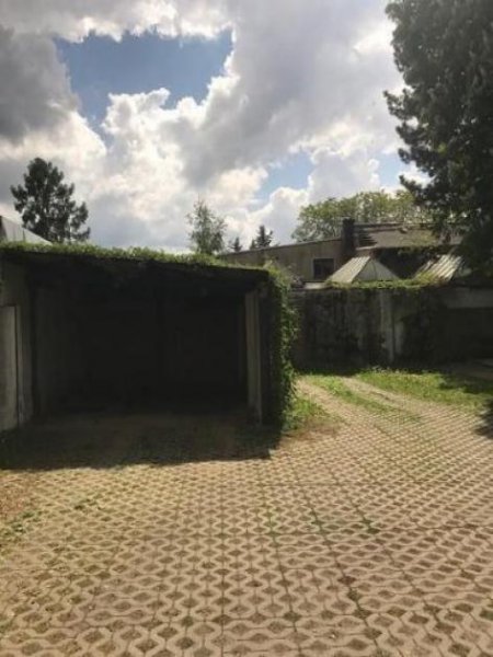 Chemnitz Gemütliche 1-Zimmer mit Laminat und offener Küche in ruhiger Lage!!! Wohnung mieten