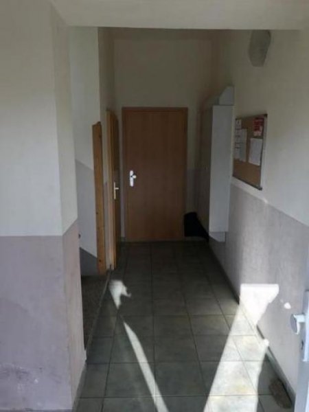 Chemnitz Gemütliche 1-Zimmer mit Laminat und offener Küche in ruhiger Lage!!! Wohnung mieten