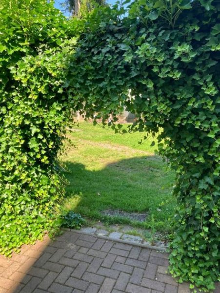 Chemnitz Großzügige 2,5-Zimmer mit Terrasse, Wanne, Dusche und Laminat und in guter Lage! Wohnung mieten