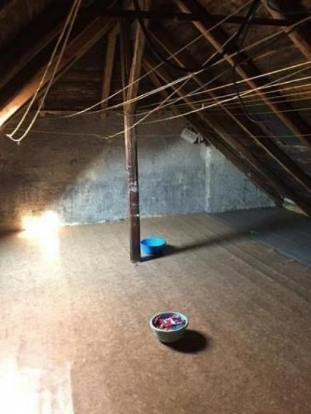 Wittgensdorf Große 5-Zimmer mit Laminat, eigenem Garten und zwei Bädern in guter Lage! Wohnung mieten