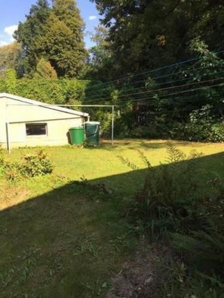 Wittgensdorf Große 5-Zimmer mit Laminat, eigenem Garten und zwei Bädern in guter Lage! Wohnung mieten