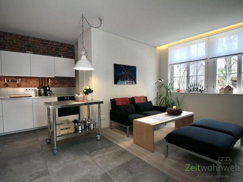 Oberlungwitz (EF1087_M) Zwickau: Oberlungwitz, luxuriöses möbliertes Apartment in einem ehem. Fabrikgebäude Wohnung mieten