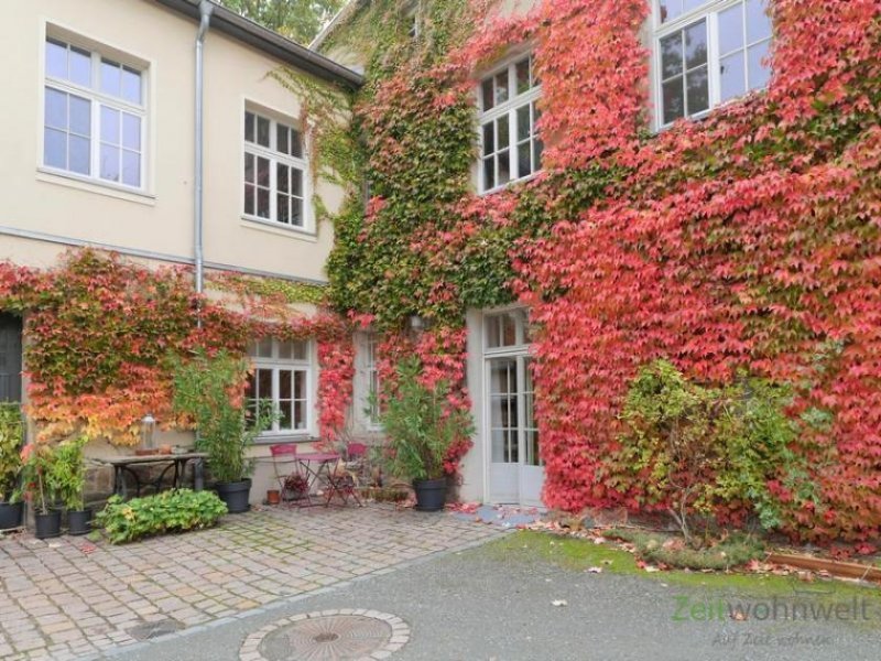 Oberlungwitz (EF1087_M) Zwickau: Oberlungwitz, luxuriöses möbliertes Apartment in einem ehem. Fabrikgebäude Wohnung mieten