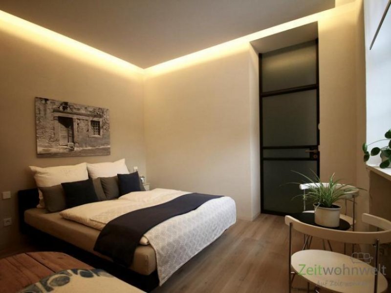 Oberlungwitz (EF1087_M) Zwickau: Oberlungwitz, luxuriöses möbliertes Apartment in einem ehem. Fabrikgebäude Wohnung mieten