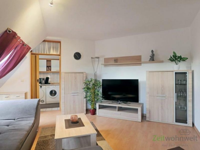 St. Egidien (EF0955_M) Zwickau: St. Egidien, moderne, neu möblierte Wohnung, mit Balkon, WLAN und Klimaanlage, Garage mgl Wohnung mieten