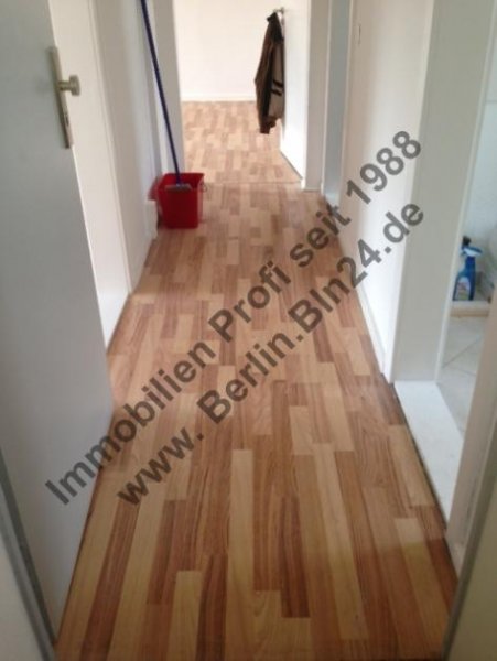 Berlin Ruhig schlafen am Rosenthaler + 2er WG geeignet Wohnung mieten