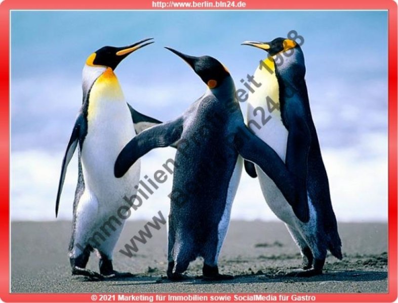 Berlin Mietwohnung Wohnung mieten