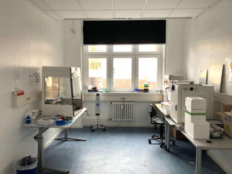 Berlin Prov.-frei: Modernisierte Bürofläche Gewerbe mieten