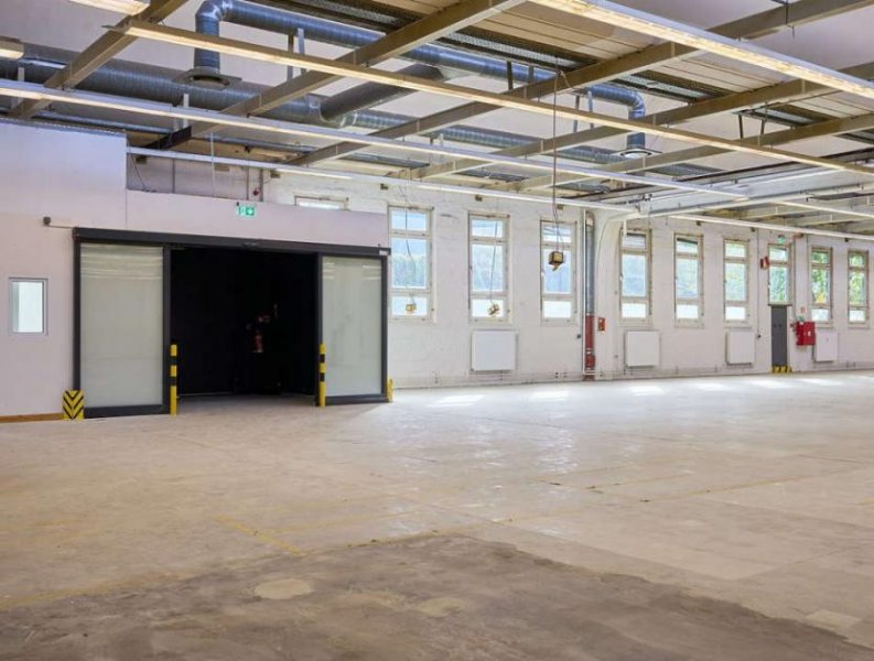 Berlin Prov.-frei: Halle mit Showroom und Büroflächen Gewerbe mieten