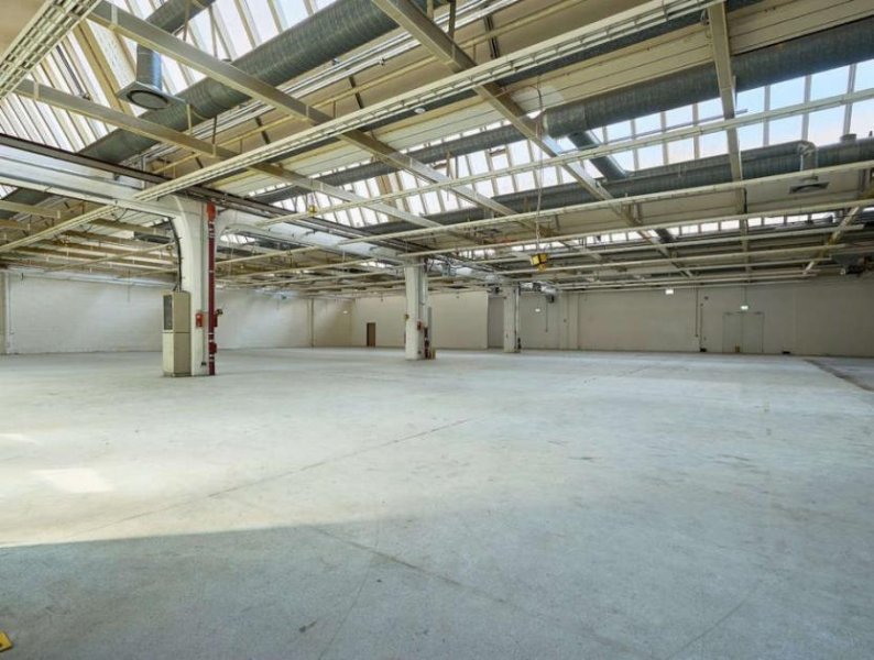 Berlin Prov.-frei: Halle mit Showroom und Büroflächen Gewerbe mieten