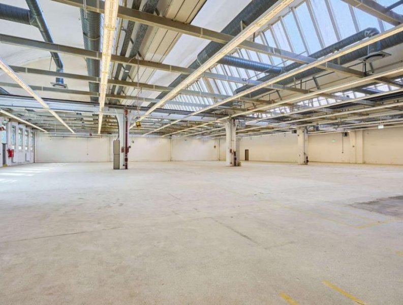 Berlin Prov.-frei: Halle mit Showroom und Büroflächen Gewerbe mieten