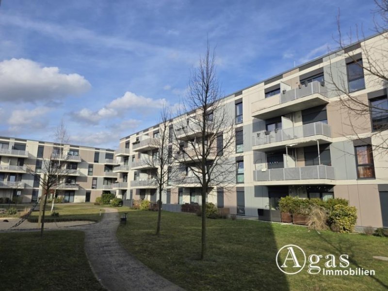 Schönefeld (Landkreis Dahme-Spreewald) 2 Zi.-Erdgeschoss-Wohnung mit Terrasse, TG-Stellplatz in Berlin Schönefeld Wohnung mieten