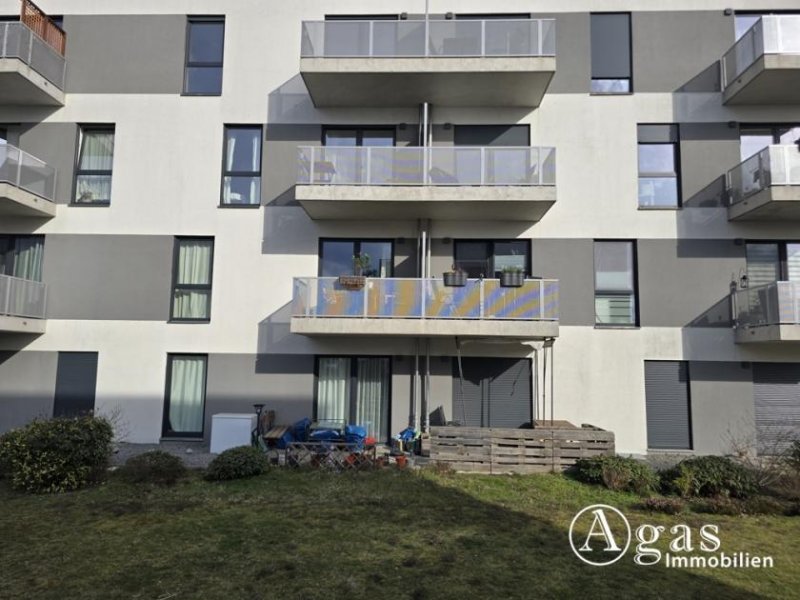 Schönefeld (Landkreis Dahme-Spreewald) 2 Zi.-Erdgeschoss-Wohnung mit Terrasse, TG-Stellplatz in Berlin Schönefeld Wohnung mieten