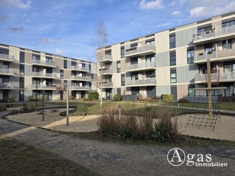 Schönefeld (Landkreis Dahme-Spreewald) 2 Zi.-Erdgeschoss-Wohnung mit Terrasse, TG-Stellplatz in Berlin Schönefeld Wohnung mieten