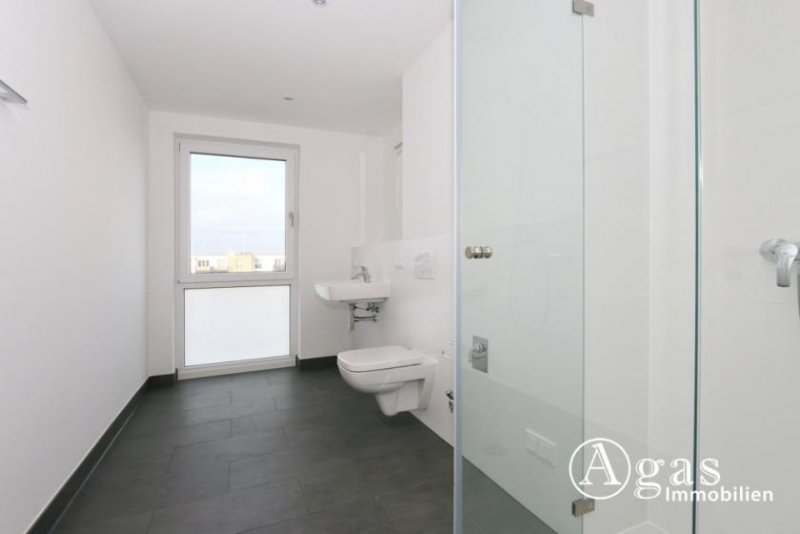 Schönefeld (Landkreis Dahme-Spreewald) 2 Zi.-Erdgeschoss-Wohnung mit Terrasse, TG-Stellplatz in Berlin Schönefeld Wohnung mieten